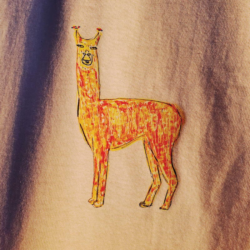 Llama