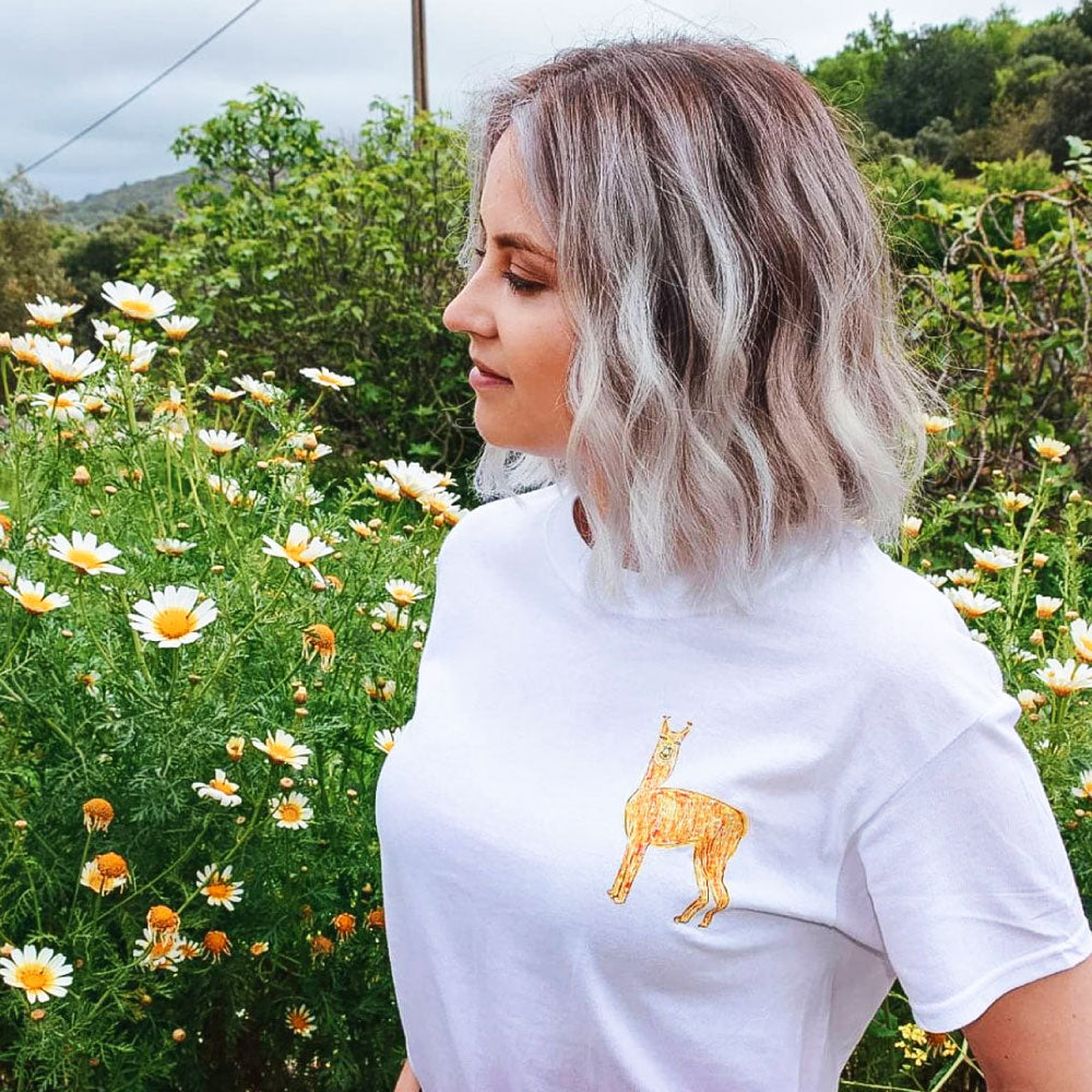 Llama